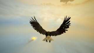 Скріншот 15 - огляд комп`ютерної гри Assassin’s Creed 3