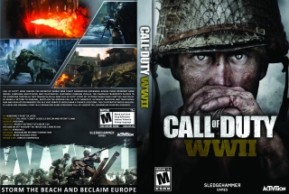 Скріншот 1 - огляд комп`ютерної гри Call of Duty: WWII