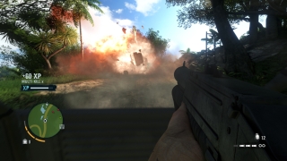 Скріншот 12 - огляд комп`ютерної гри Far Cry 3