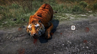 Скріншот 20 - огляд комп`ютерної гри Far Cry 4
