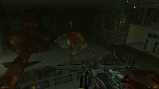 Скріншот 12 - огляд комп`ютерної гри Half-Life