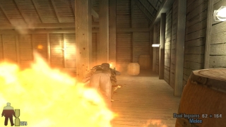 Скріншот 6 - огляд комп`ютерної гри Max Payne 2: The Fall of Max Payne