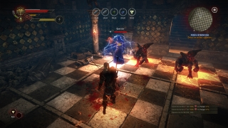 Скріншот 20 - огляд комп`ютерної гри The Witcher 2: Assassins of Kings