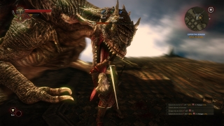 Скріншот 23 - огляд комп`ютерної гри The Witcher 2: Assassins of Kings