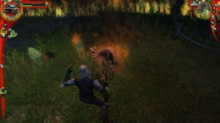 Скріншот 11 - огляд комп`ютерної гри The Witcher