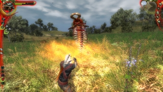 Скріншот 19 - огляд комп`ютерної гри The Witcher